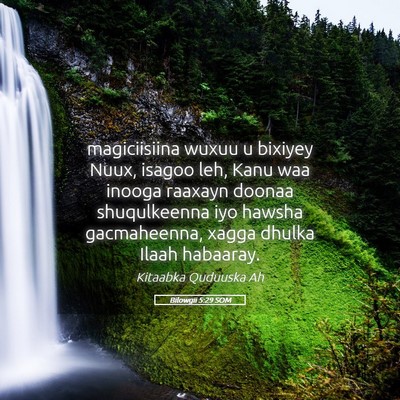 Picture 05 - Bilowgii 5:29 SOM - magiciisiina wuxuu u bixiyey Nuux, isagoo leh, - Bible Verse Picture