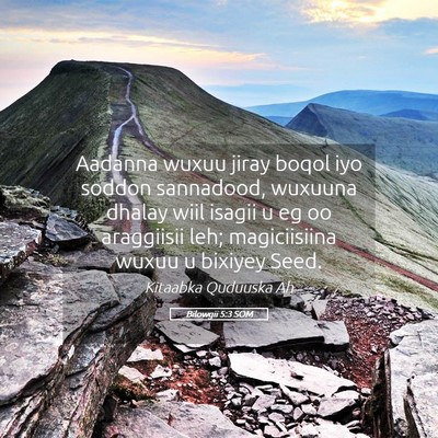 Picture 05 - Bilowgii 5:3 SOM - Aadanna wuxuu jiray boqol iyo soddon sannadood, - Bible Verse Picture