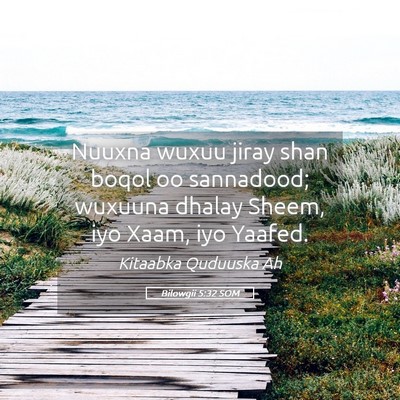 Picture 05 - Bilowgii 5:32 SOM - Nuuxna wuxuu jiray shan boqol oo sannadood; - Bible Verse Picture