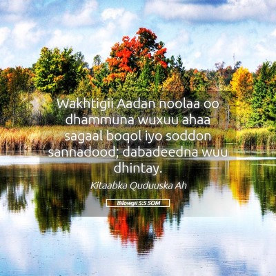 Picture 05 - Bilowgii 5:5 SOM - Wakhtigii Aadan noolaa oo dhammuna wuxuu ahaa - Bible Verse Picture