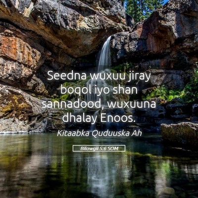 Picture 05 - Bilowgii 5:6 SOM - Seedna wuxuu jiray boqol iyo shan sannadood, - Bible Verse Picture
