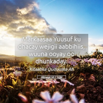 Picture 05 - Bilowgii 50:1 SOM - Markaasaa Yuusuf ku dhacay wejigii aabbihiis, - Bible Verse Picture