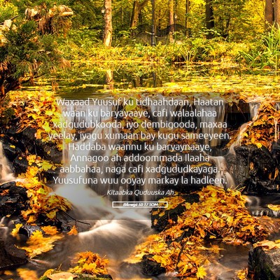 Picture 05 - Bilowgii 50:17 SOM - Waxaad Yuusuf ku tidhaahdaan, Haatan waan ku - Bible Verse Picture