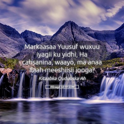 Picture 05 - Bilowgii 50:19 SOM - Markaasaa Yuusuf wuxuu iyagii ku yidhi, Ha - Bible Verse Picture