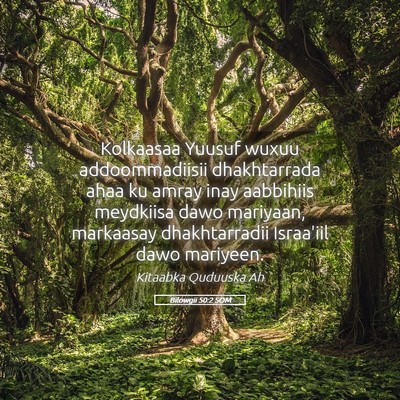 Picture 05 - Bilowgii 50:2 SOM - Kolkaasaa Yuusuf wuxuu addoommadiisii - Bible Verse Picture