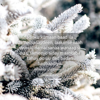 Picture 05 - Bilowgii 50:20 SOM - Idinku xumaan baad ila damacsanaydeen, laakiinse - Bible Verse Picture