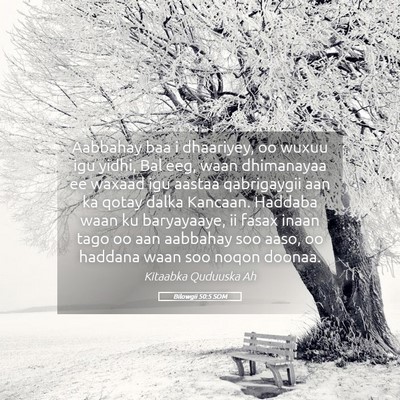 Picture 05 - Bilowgii 50:5 SOM - Aabbahay baa i dhaariyey, oo wuxuu igu yidhi, Bal - Bible Verse Picture