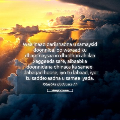 Picture 05 - Bilowgii 6:16 SOM - Waa inaad dariishadna u samaysid doonnida, oo - Bible Verse Picture