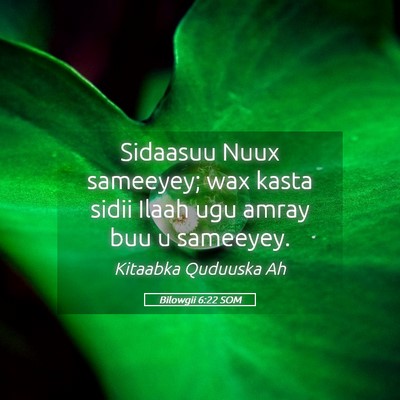 Picture 05 - Bilowgii 6:22 SOM - Sidaasuu Nuux sameeyey; wax kasta sidii Ilaah ugu - Bible Verse Picture