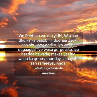 Picture 05 - Bilowgii 6:7 SOM - Oo Rabbigu wuxuu yidhi, Waxaan dhulka ka - Bible Verse Picture