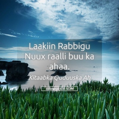 Picture 05 - Bilowgii 6:8 SOM - Laakiin Rabbigu Nuux raalli buu ka - Bible Verse Picture