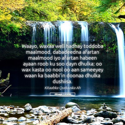 Picture 05 - Bilowgii 7:4 SOM - Waayo, waxaa weli hadhay toddoba maalmood, - Bible Verse Picture