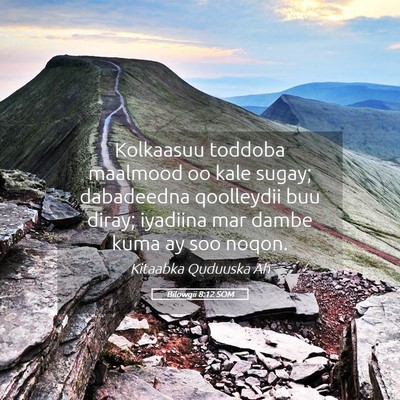 Picture 05 - Bilowgii 8:12 SOM - Kolkaasuu toddoba maalmood oo kale sugay; - Bible Verse Picture