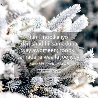 Picture 05 - Bilowgii 8:2 SOM - ilihii moolka iyo dariishadihii samaduna way - Bible Verse Picture