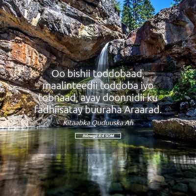 Picture 05 - Bilowgii 8:4 SOM - Oo bishii toddobaad, maalinteedii toddoba iyo - Bible Verse Picture