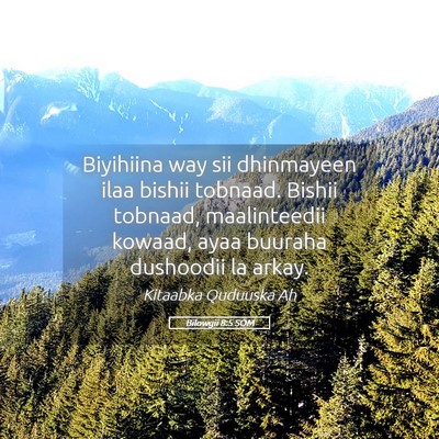 Picture 05 - Bilowgii 8:5 SOM - Biyihiina way sii dhinmayeen ilaa bishii tobnaad. - Bible Verse Picture