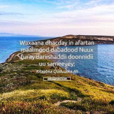 Picture 05 - Bilowgii 8:6 SOM - Waxaana dhacday in afartan maalmood dabadood Nuux - Bible Verse Picture