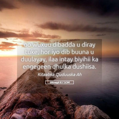 Picture 05 - Bilowgii 8:7 SOM - oo wuxuu dibadda u diray tuke, hor iyo dib buuna - Bible Verse Picture
