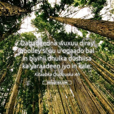 Picture 05 - Bilowgii 8:8 SOM - Dabadeedna wuxuu diray qoolley si uu u ogaado bal - Bible Verse Picture