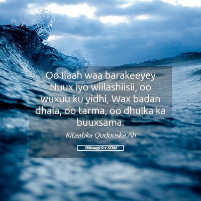 Picture 05 - Bilowgii 9:1 SOM - Oo Ilaah waa barakeeyey Nuux iyo wiilashiisii, oo - Bible Verse Picture