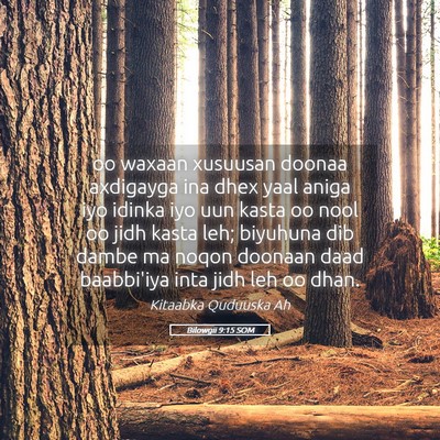 Picture 05 - Bilowgii 9:15 SOM - oo waxaan xusuusan doonaa axdigayga ina dhex yaal - Bible Verse Picture
