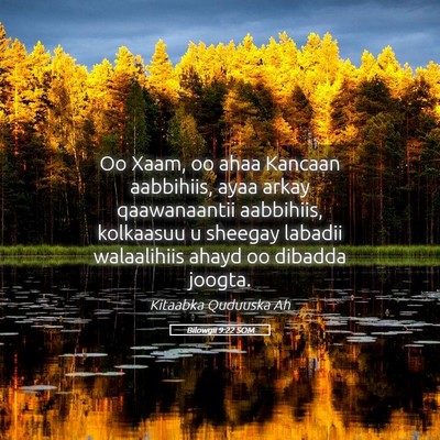 Picture 05 - Bilowgii 9:22 SOM - Oo Xaam, oo ahaa Kancaan aabbihiis, ayaa arkay - Bible Verse Picture