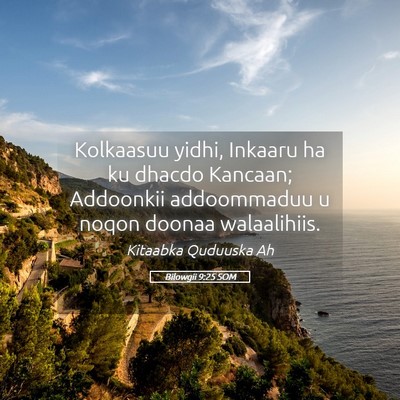 Picture 05 - Bilowgii 9:25 SOM - Kolkaasuu yidhi, Inkaaru ha ku dhacdo Kancaan; - Bible Verse Picture