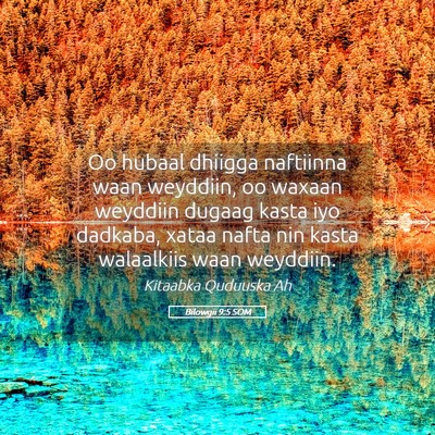 Picture 05 - Bilowgii 9:5 SOM - Oo hubaal dhiigga naftiinna waan weyddiin, oo - Bible Verse Picture