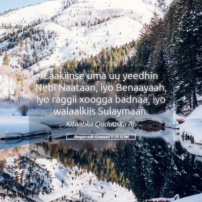 Picture 05 - Boqorradii Kowaad 1:10 SOM - Laakiinse uma uu yeedhin Nebi Naataan, iyo - Bible Verse Picture