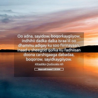 Picture 05 - Boqorradii Kowaad 1:20 SOM - Oo adna, sayidow, boqorkaygiiyow, indhihii dadka - Bible Verse Picture