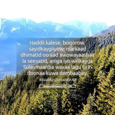 Picture 05 - Boqorradii Kowaad 1:21 SOM - Haddii kalese, boqorow, sayidkaygiiyow, markaad - Bible Verse Picture