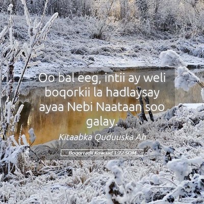 Picture 05 - Boqorradii Kowaad 1:22 SOM - Oo bal eeg, intii ay weli boqorkii la hadlaysay - Bible Verse Picture