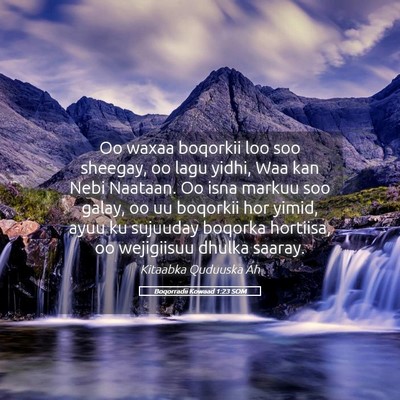 Picture 05 - Boqorradii Kowaad 1:23 SOM - Oo waxaa boqorkii loo soo sheegay, oo lagu yidhi, - Bible Verse Picture
