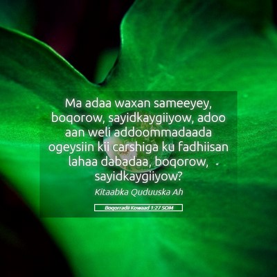Picture 05 - Boqorradii Kowaad 1:27 SOM - Ma adaa waxan sameeyey, boqorow, sayidkaygiiyow, - Bible Verse Picture