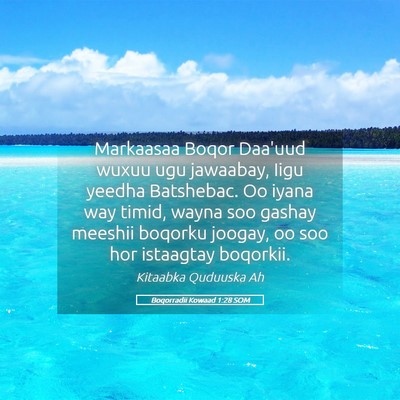 Picture 05 - Boqorradii Kowaad 1:28 SOM - Markaasaa Boqor Daa'uud wuxuu ugu jawaabay, Iigu - Bible Verse Picture