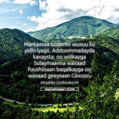 Picture 05 - Boqorradii Kowaad 1:33 SOM - Markaasaa boqorkii wuxuu ku yidhi iyagii, - Bible Verse Picture