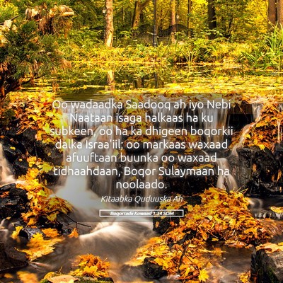 Picture 05 - Boqorradii Kowaad 1:34 SOM - Oo wadaadka Saadooq ah iyo Nebi Naataan isaga - Bible Verse Picture