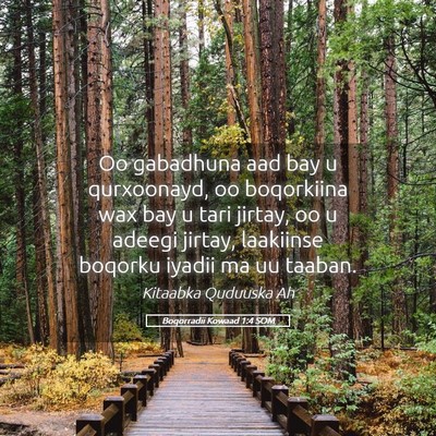 Picture 05 - Boqorradii Kowaad 1:4 SOM - Oo gabadhuna aad bay u qurxoonayd, oo boqorkiina - Bible Verse Picture