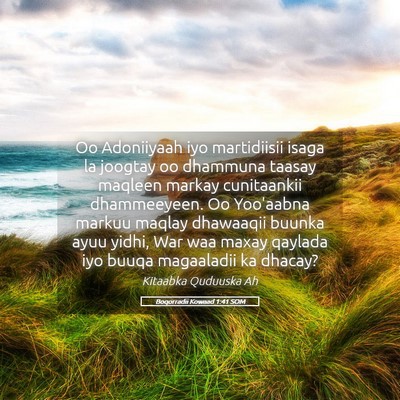 Picture 05 - Boqorradii Kowaad 1:41 SOM - Oo Adoniiyaah iyo martidiisii isaga la joogtay oo - Bible Verse Picture