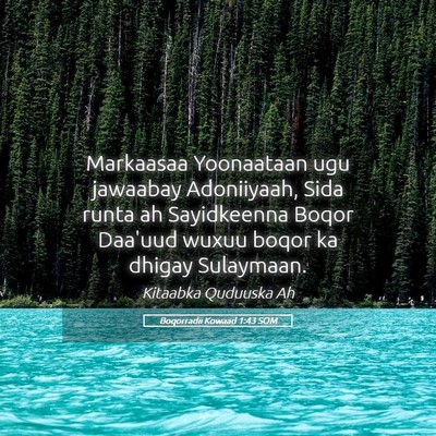 Picture 05 - Boqorradii Kowaad 1:43 SOM - Markaasaa Yoonaataan ugu jawaabay Adoniiyaah, - Bible Verse Picture