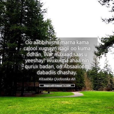 Picture 05 - Boqorradii Kowaad 1:6 SOM - Oo aabbihiisna marna kama calool xumayn isagii oo - Bible Verse Picture