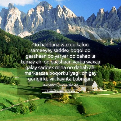 Picture 05 - Boqorradii Kowaad 10:17 SOM - Oo haddana wuxuu kaloo sameeyey saddex boqol oo - Bible Verse Picture