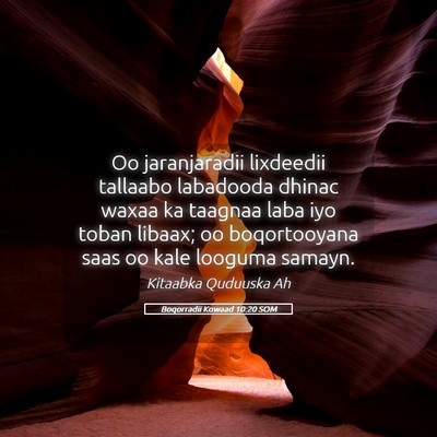 Picture 05 - Boqorradii Kowaad 10:20 SOM - Oo jaranjaradii lixdeedii tallaabo labadooda - Bible Verse Picture