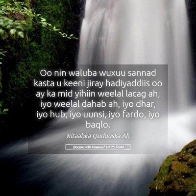 Picture 05 - Boqorradii Kowaad 10:25 SOM - Oo nin waluba wuxuu sannad kasta u keeni jiray - Bible Verse Picture