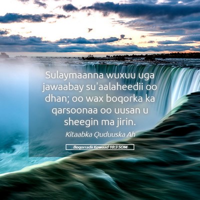 Picture 05 - Boqorradii Kowaad 10:3 SOM - Sulaymaanna wuxuu uga jawaabay su'aalaheedii oo - Bible Verse Picture