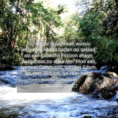 Picture 05 - Boqorradii Kowaad 11:1 SOM - Oo Boqor Sulaymaan wuxuu jeclaaday naago badan oo - Bible Verse Picture