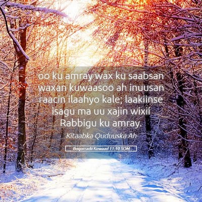 Picture 05 - Boqorradii Kowaad 11:10 SOM - oo ku amray wax ku saabsan waxan kuwaasoo ah - Bible Verse Picture
