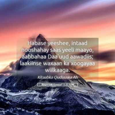Picture 05 - Boqorradii Kowaad 11:12 SOM - Habase yeeshee, intaad nooshahay saas yeeli - Bible Verse Picture