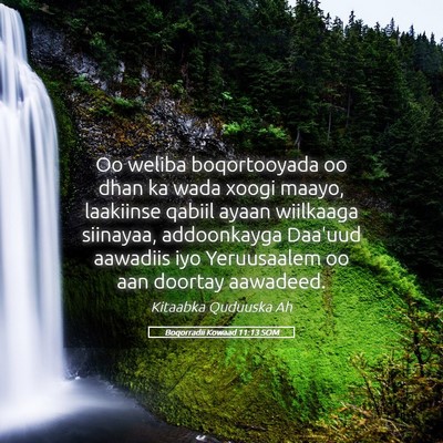 Picture 05 - Boqorradii Kowaad 11:13 SOM - Oo weliba boqortooyada oo dhan ka wada xoogi - Bible Verse Picture