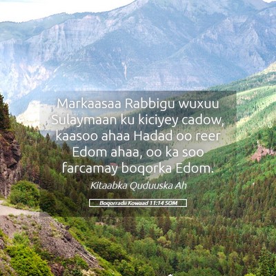 Picture 05 - Boqorradii Kowaad 11:14 SOM - Markaasaa Rabbigu wuxuu Sulaymaan ku kiciyey - Bible Verse Picture